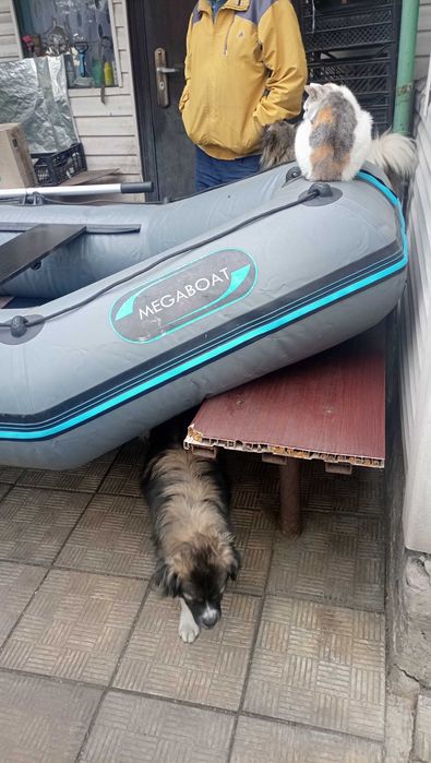 Надувний човен MegaBoat MT-290C