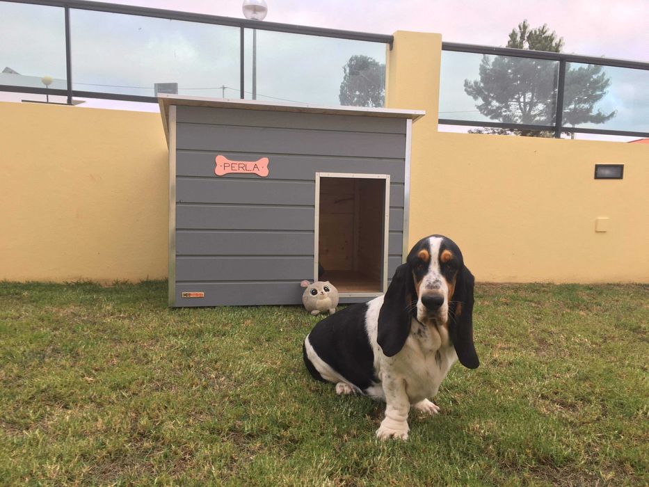 MSWOOD - Casotas para cães pequenos, médios e grandes - Modelo Vega