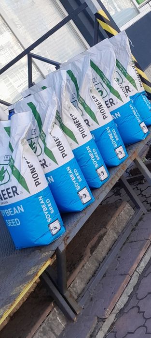 ''PIONER серія''А'' Elit  USA Соя посівна ГМО насіння сої на посів