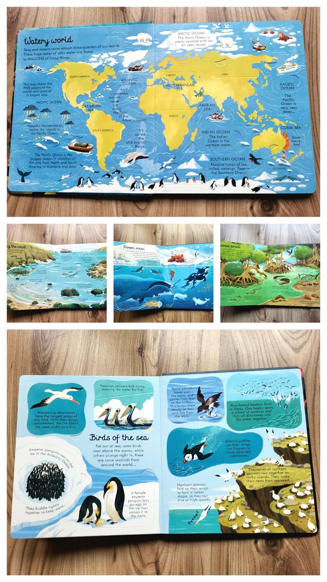 Seas and Oceans Usborne Look Inside z okienkami po angielsku