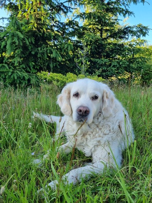 Jesienna regeneracja nad Liwcem pobyt