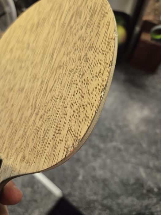 Nittaku latika light