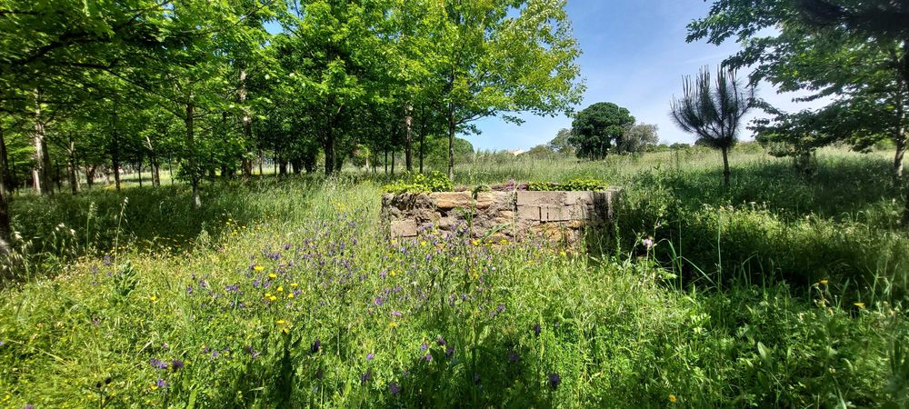 Terreno Rústico na Bairrada!