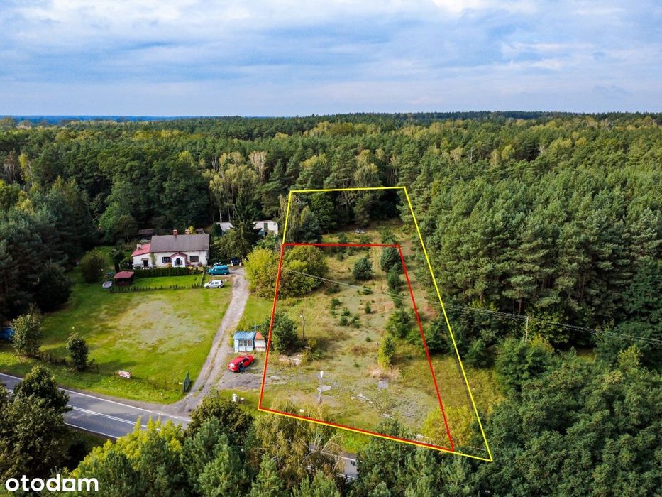 Działka 1896 m² przy lesie we Florentynowie