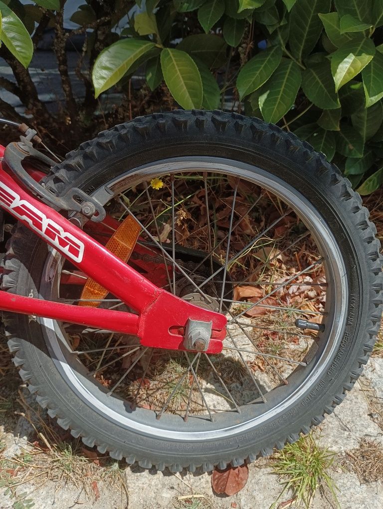 Bicicleta criança