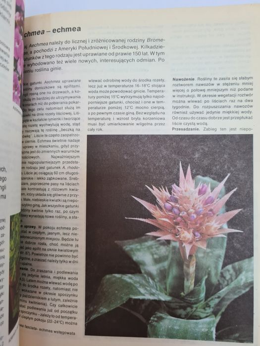 Mieszkamy wśród kwiatów - Książka