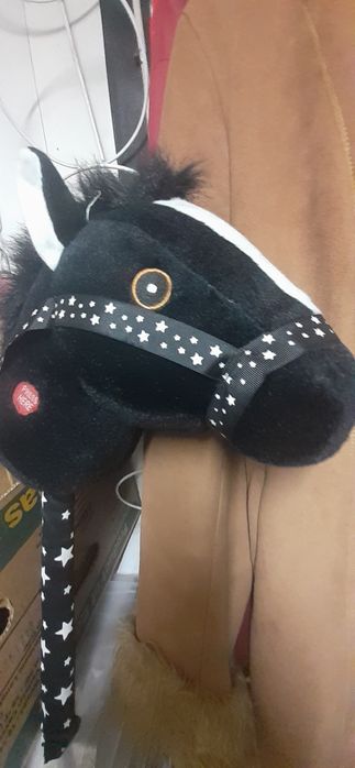 Konik hobby Horse