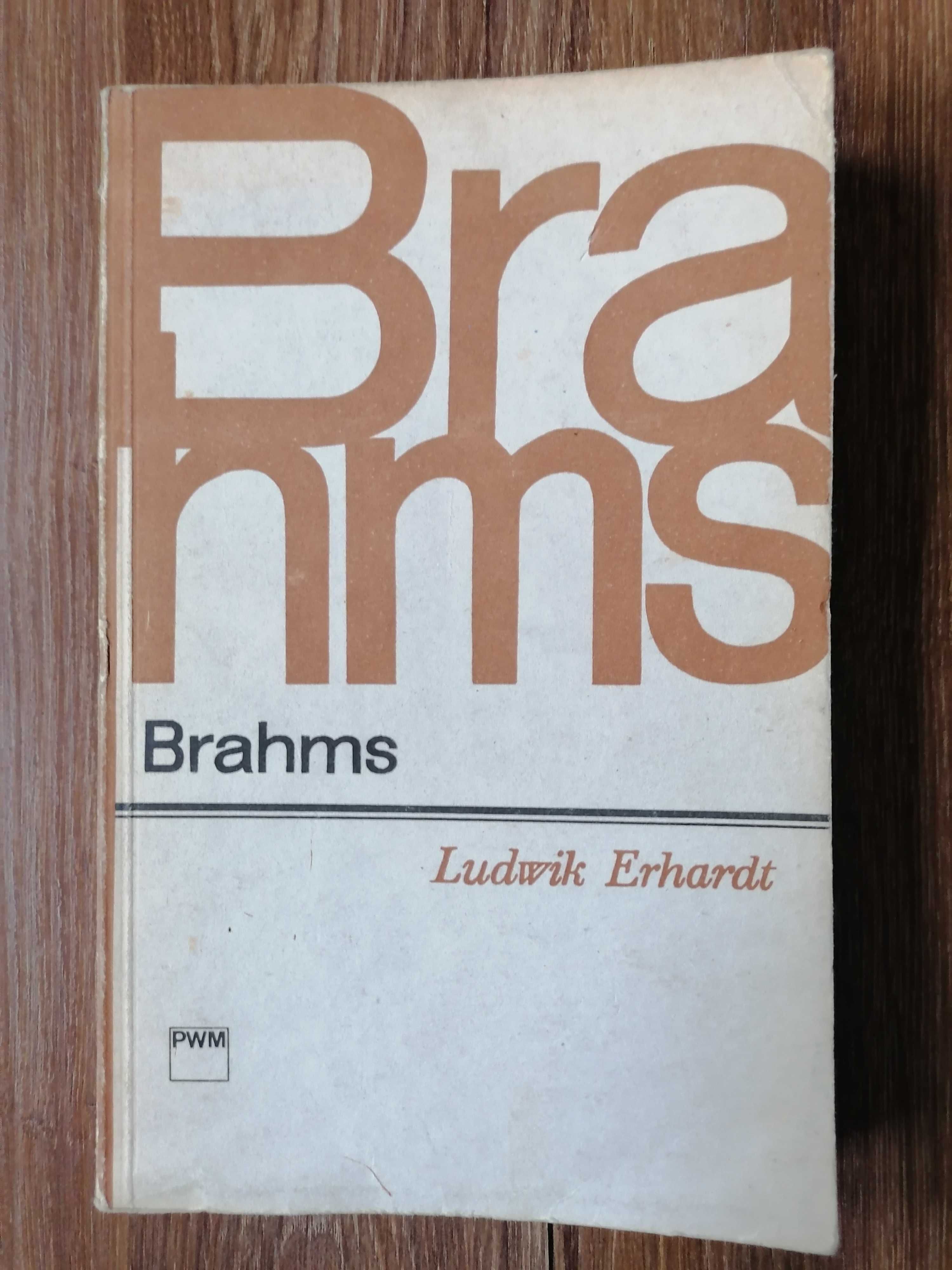 Ludwik Erhardt - "Brahms"