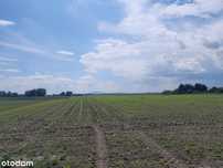 Sprzedam działki siedliskowe Kębłowice 3000m2