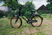Rower Batavus Bub przedni bagażnik cargo piasta nexus 3