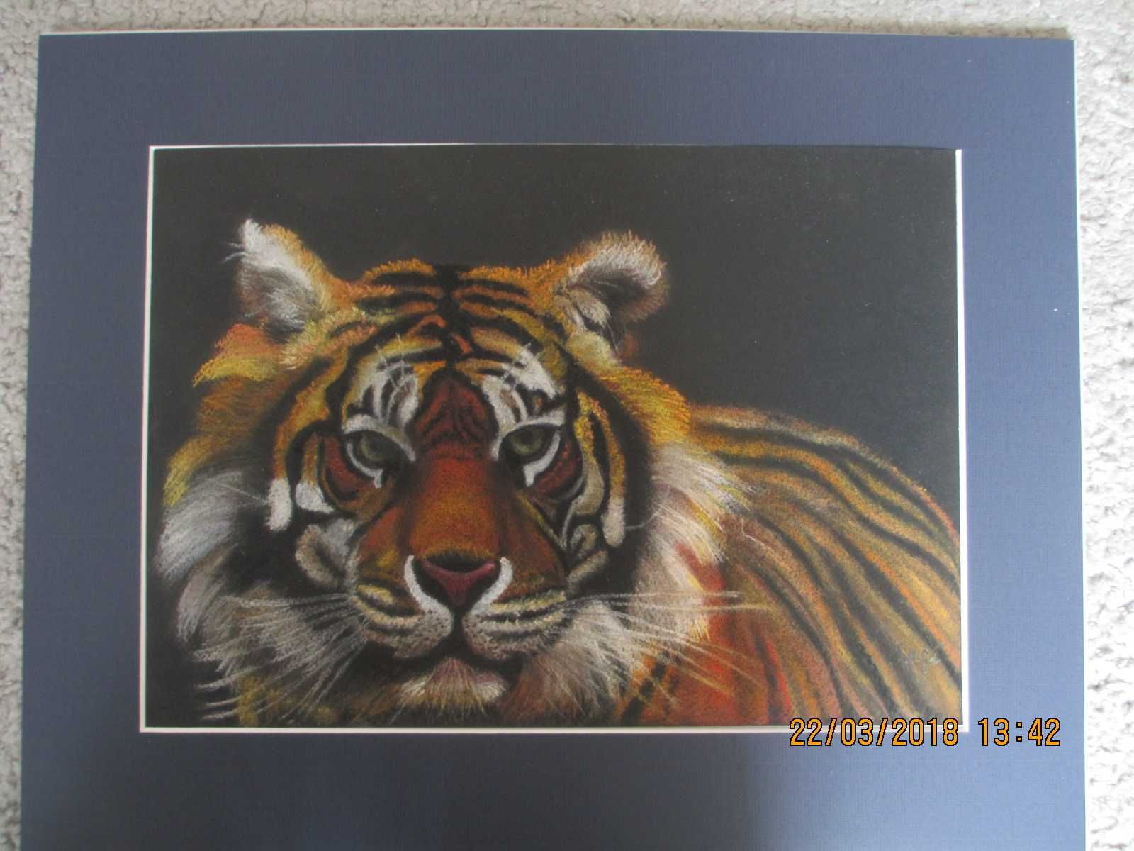 Obraz pastel suchy- tygrys