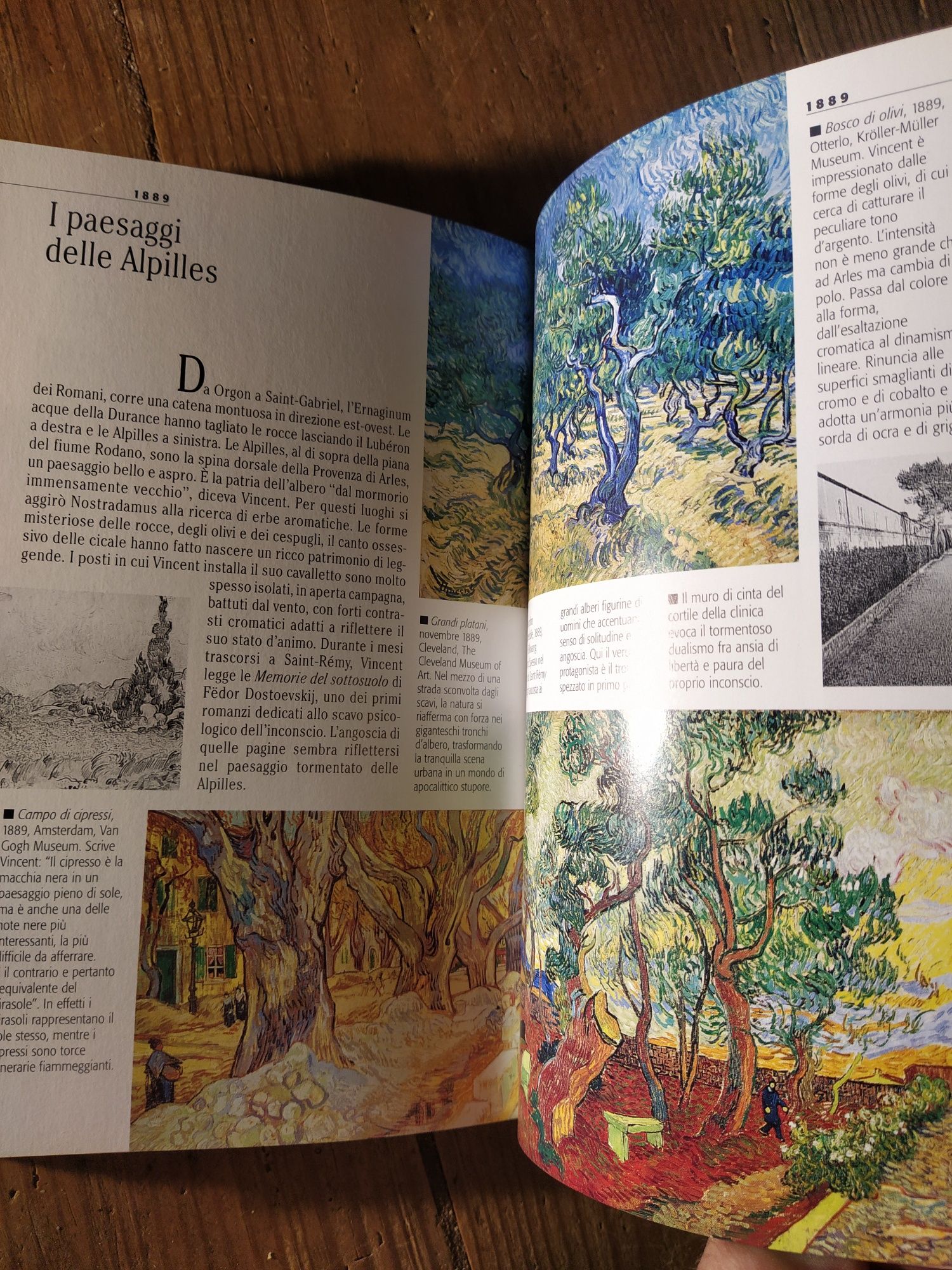 Art book VAN GOGH