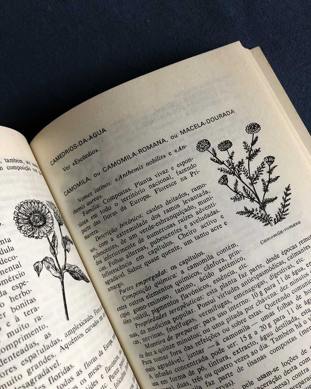 José Lyon de Castro MEDICINA VEGETAL Teoria e Prática - Naturopatia