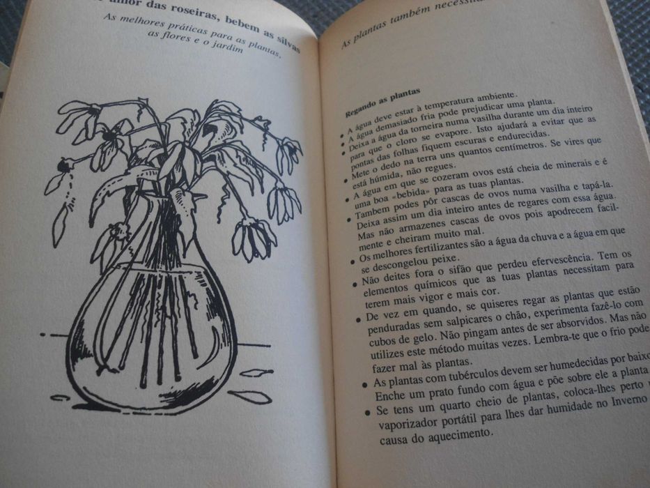 A Agulha no Palheiro por Mary Ellen