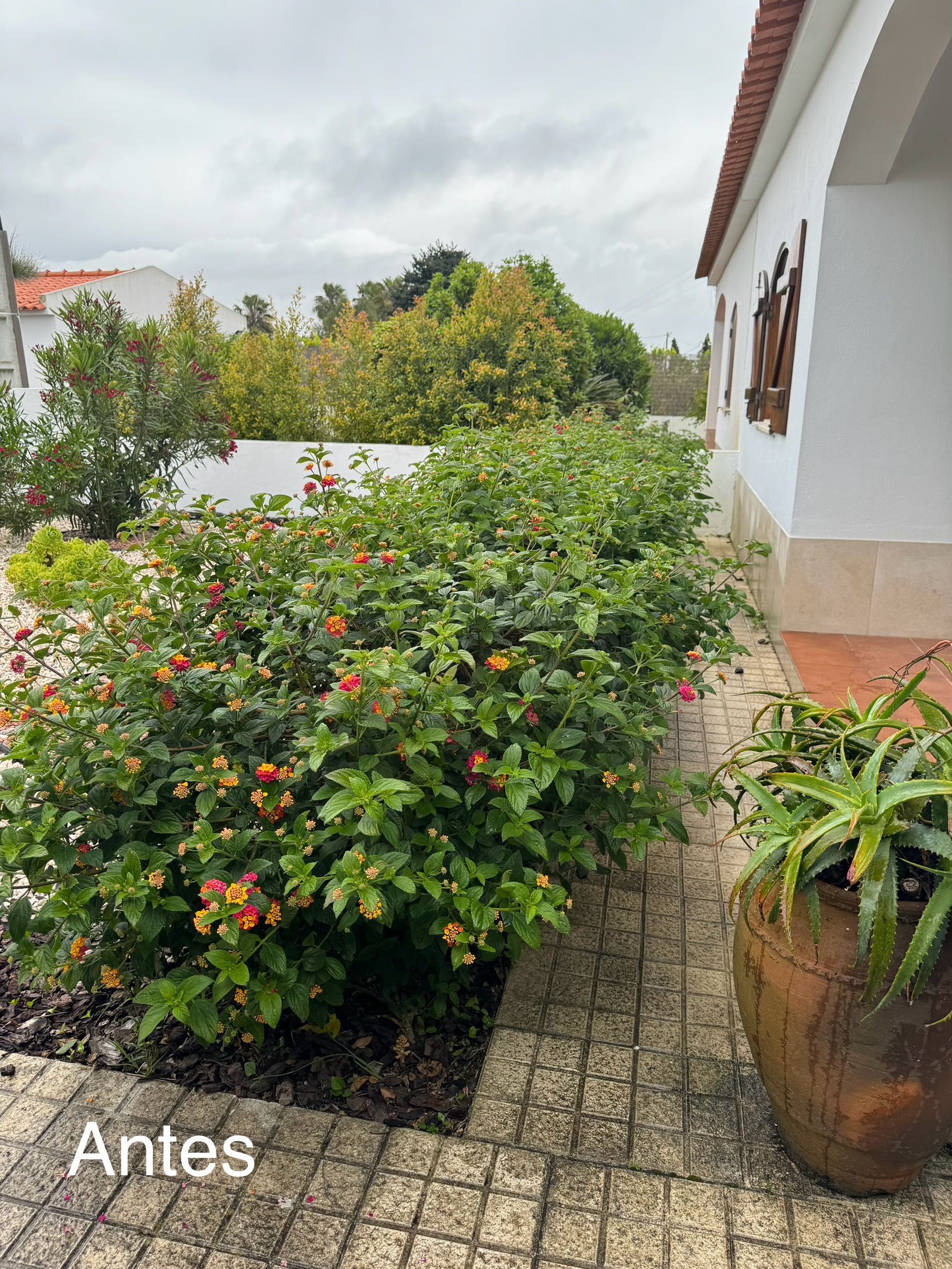 Serviços de jardinagem