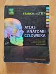 Atlas anatomii człowieka Netter 2013