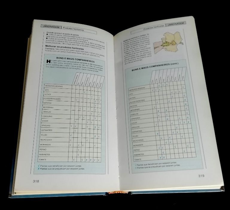 Livro Ideias Práticas & Soluções Rápidas, 1ª Edição