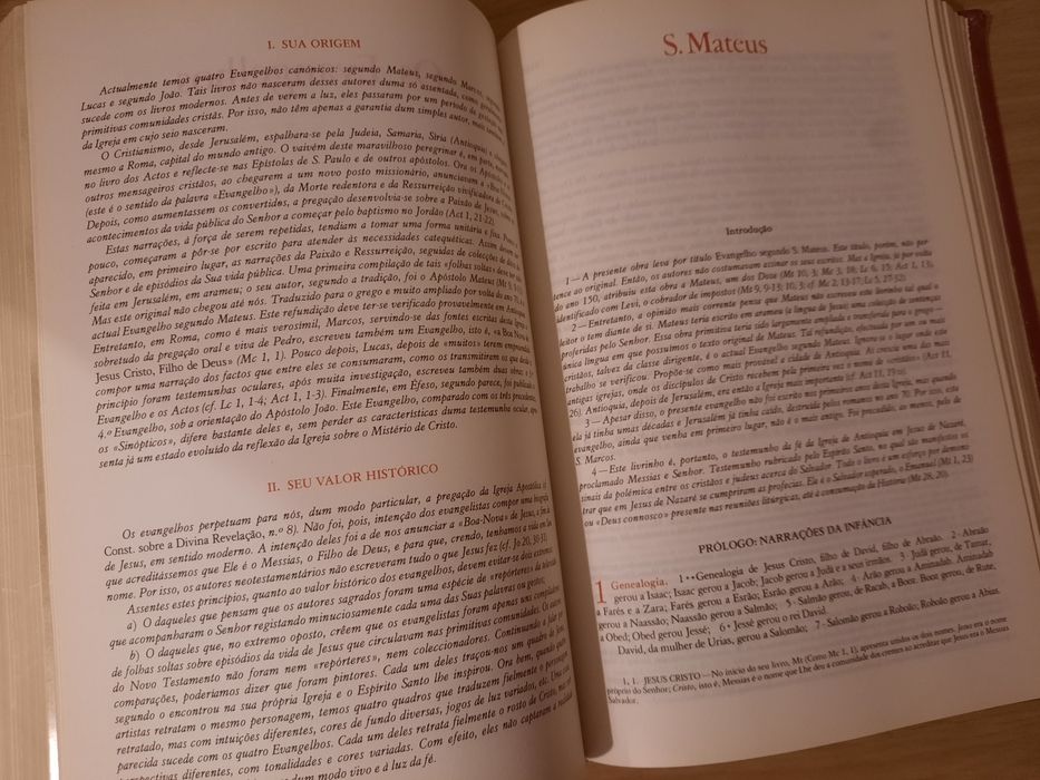 Bíblia Sagrada Ilustrada