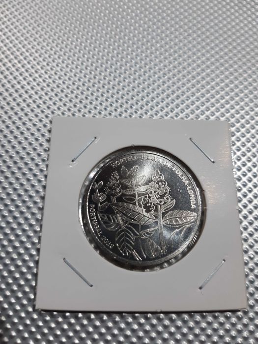 5€ Hortelã-brava‑de‑folha-longa 2023 unc