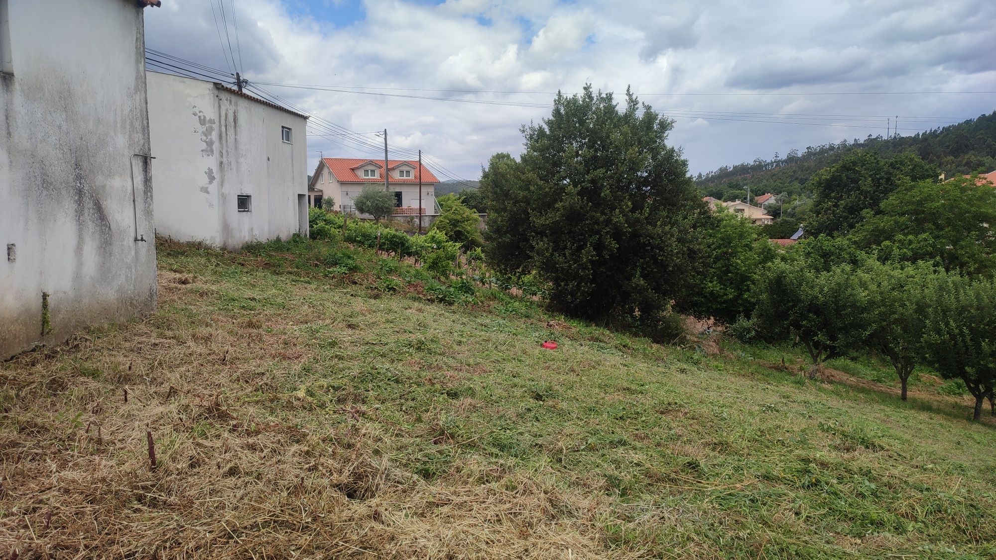 Limpeza de terrenos