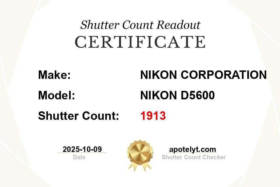 Nikon D5600 - com objetiva 18-50mm + Cartão SD 128GB - como nova