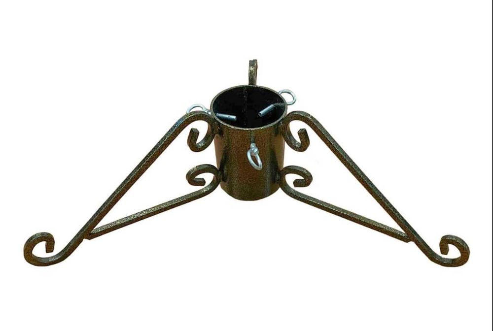 Jodła Kaukaska Nordman Gałęzie Gałązki Stroisz Dostawa Gratis