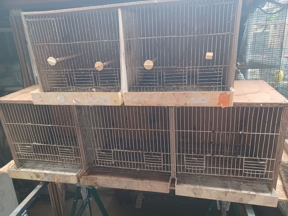 Gaiolas para aves pequenas