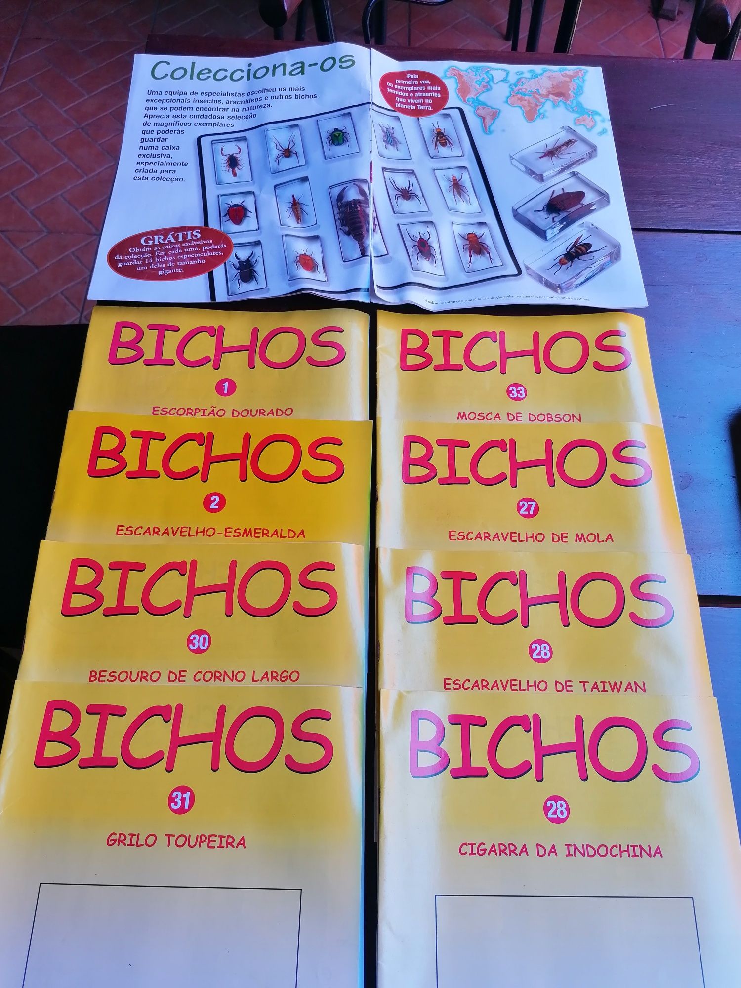 Livros bichos colecção