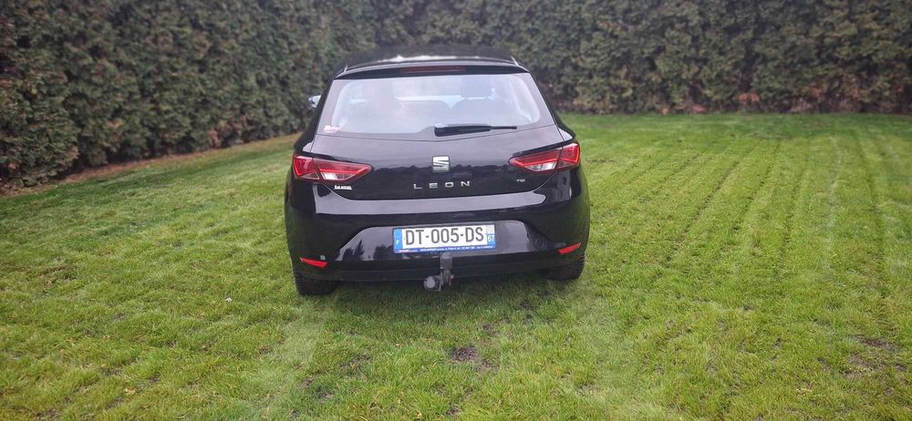 Seat Leon bardzo oszczędny i bezawaryjny