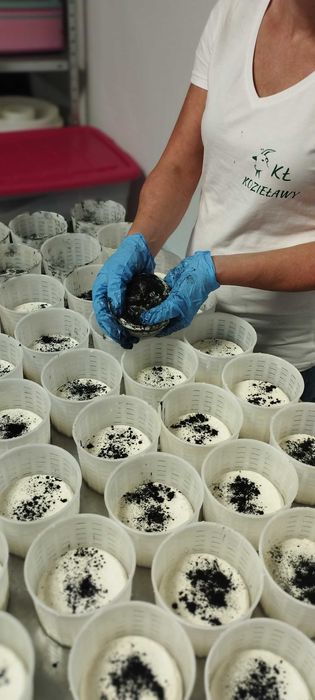 Sery kozie i krowie. Mleko kozie Serowarnia kozielawy