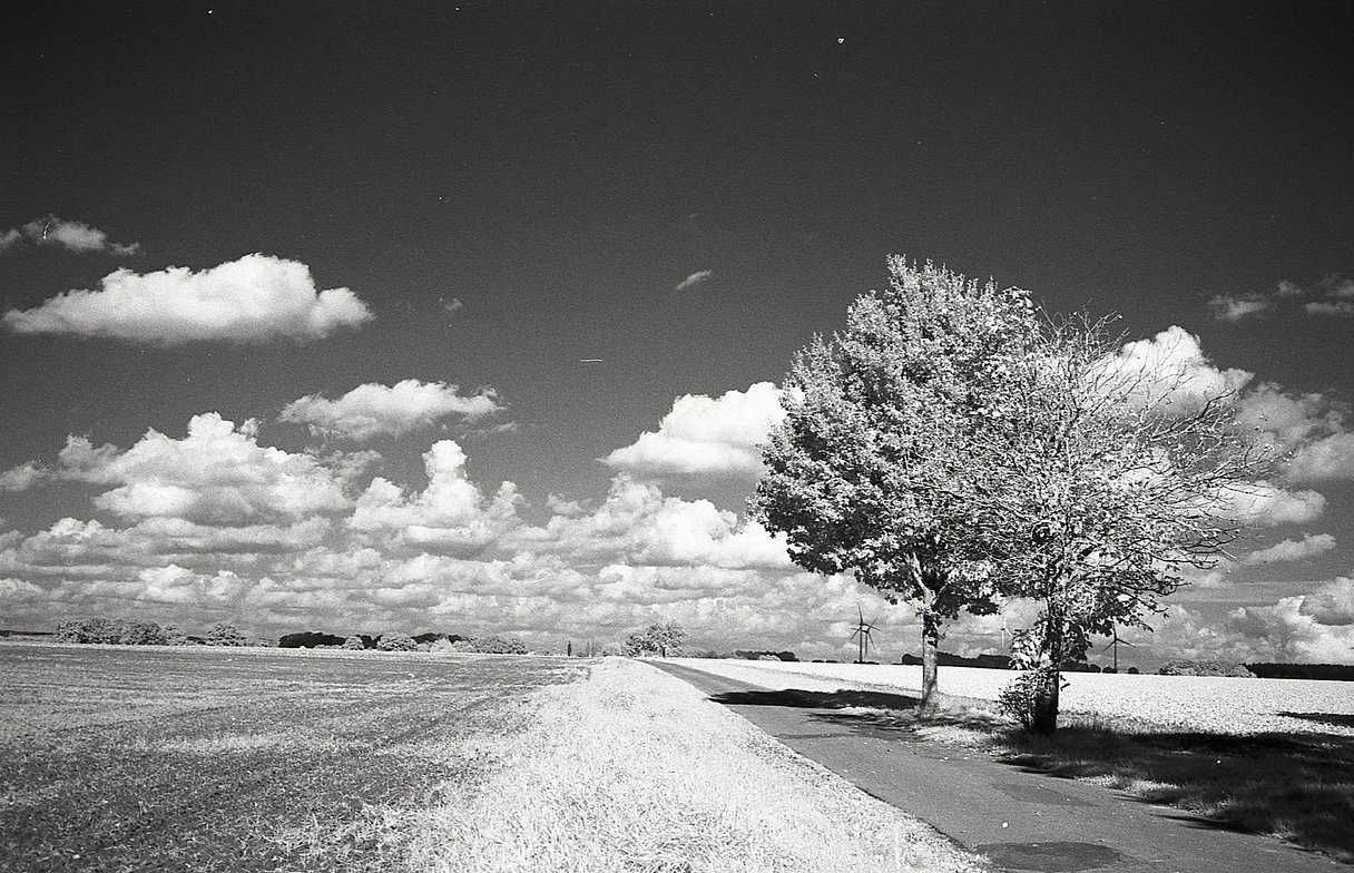 Інфрачервона фотоплівка Rollei INFRARED 400 / 36 кадрів