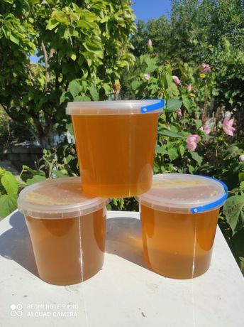Продам свежий мёд софора+подсолнух! 150грн 1л