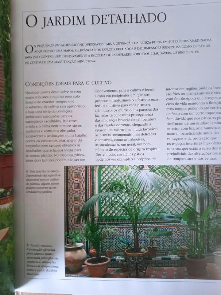 Plantas para Pátios