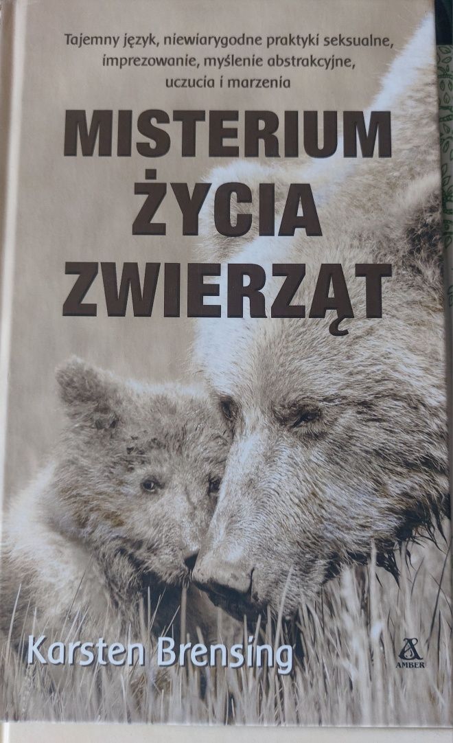 6 razy książki o drzewach, kotach, zwierzętach. Idealne!