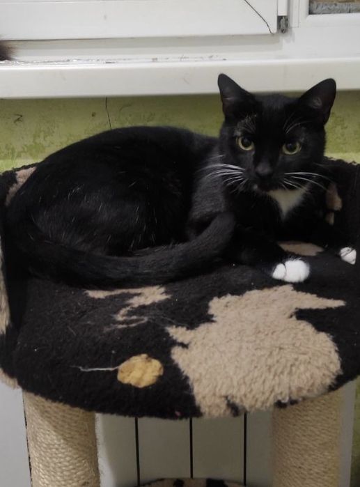 Красунчик зачекався на своє щастя!