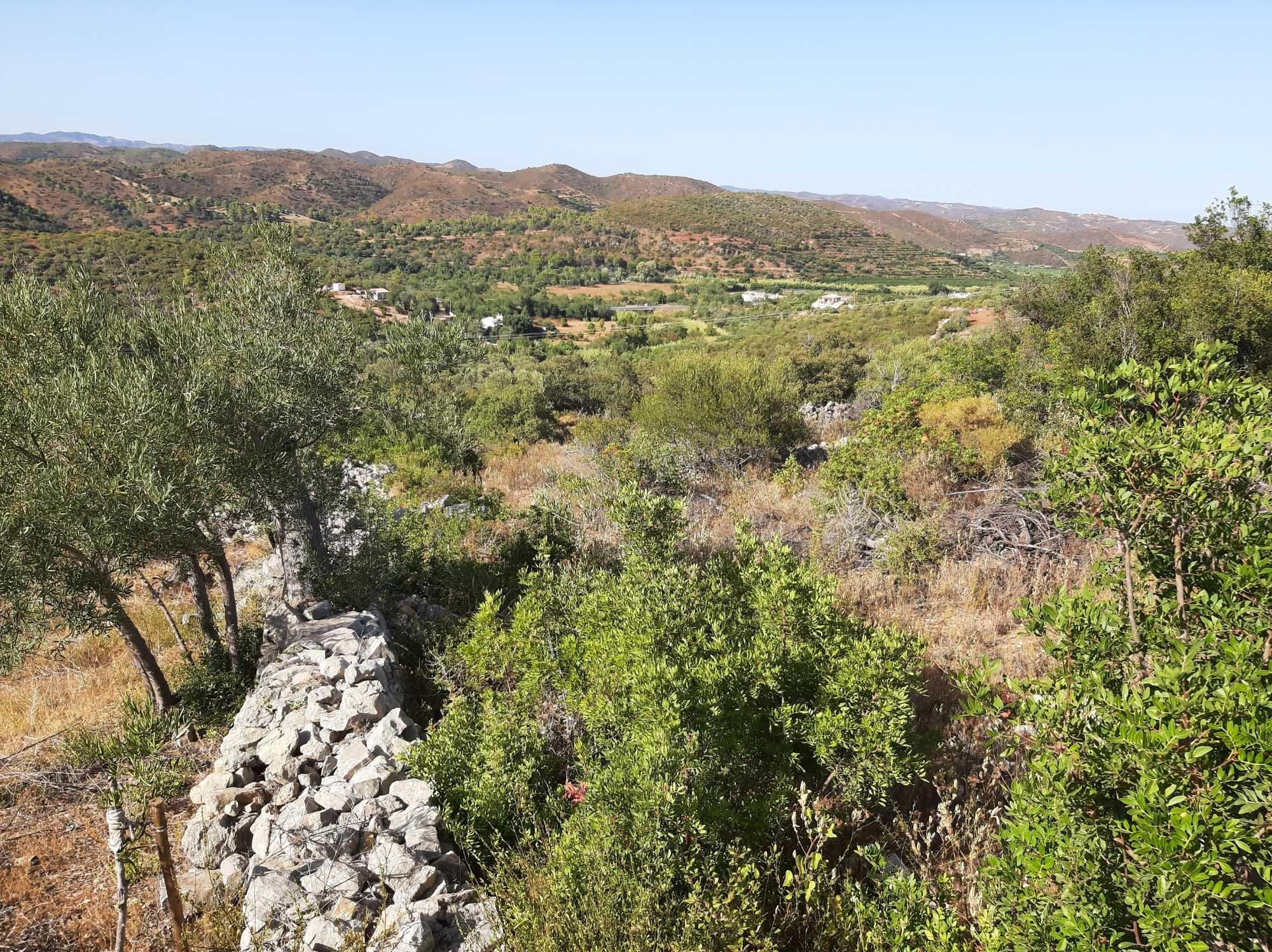 TAVIRA , Monte Agudo/Asseca , hidrante , 50000m2