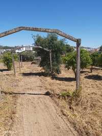 Vendo terreno urbano em Santarém