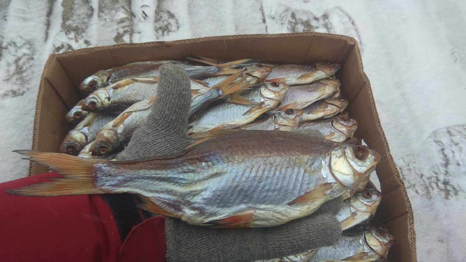 Плотва с икрой 70%, без луски