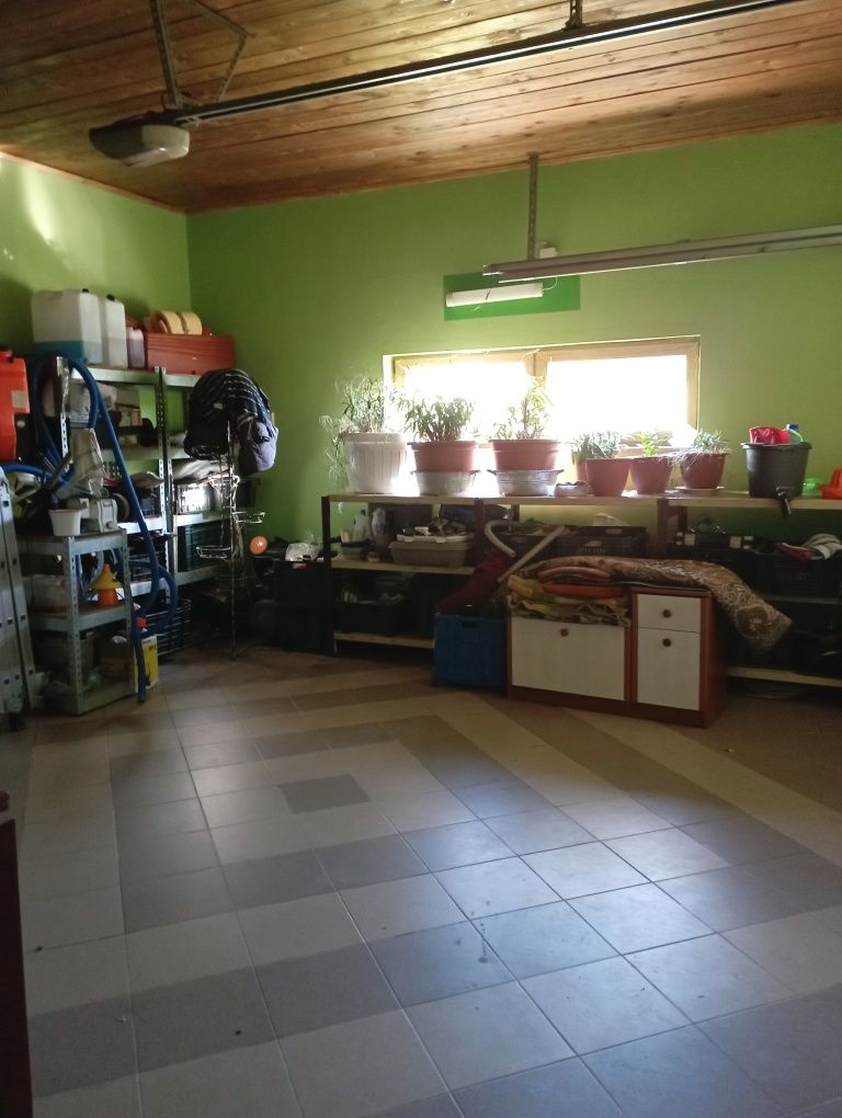 Дім 200 м2 ділянка 12 сотин Берегово Виноградна