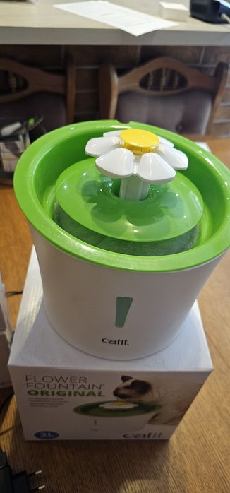 Fontanna poidełko dla kota