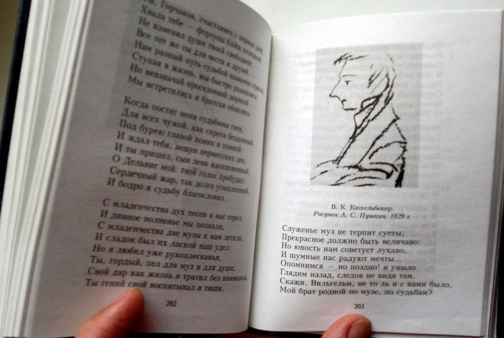 Александр Пушкин Лирика (с рисунками автора)