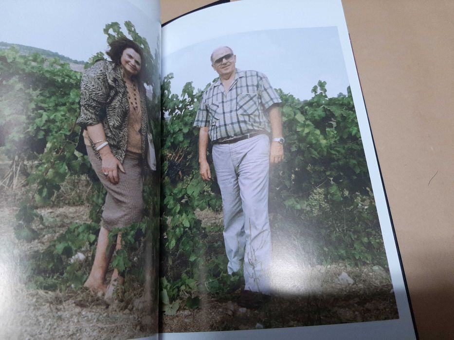 Vice-Rei do Norte /Memórias e Revelações de Pires Veloso