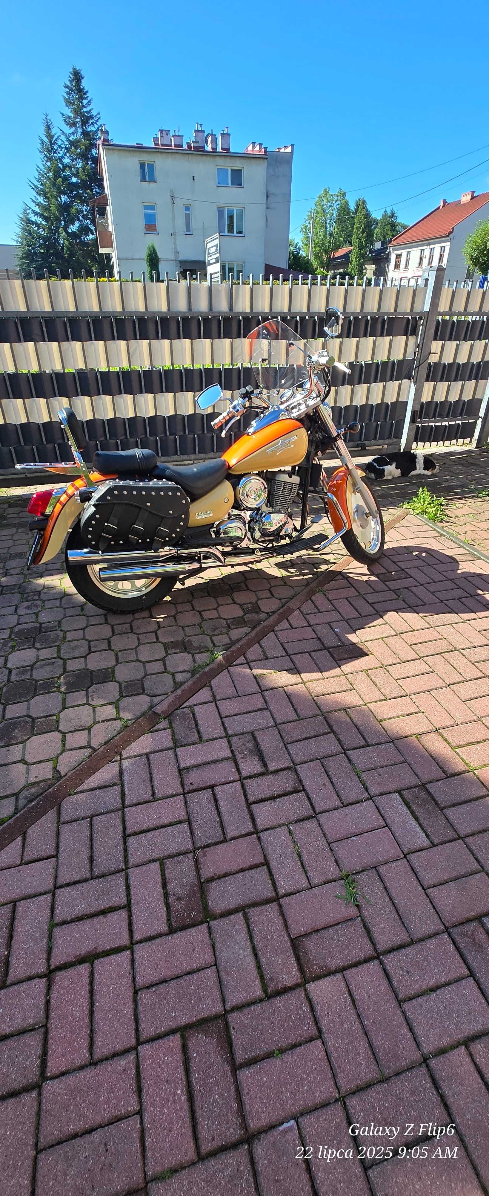 Delim Daystar 125
