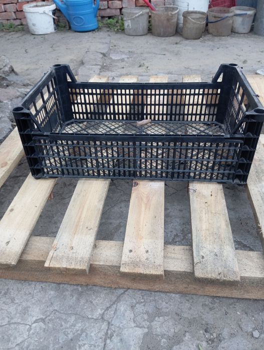 Пластиковые ящики для овощей