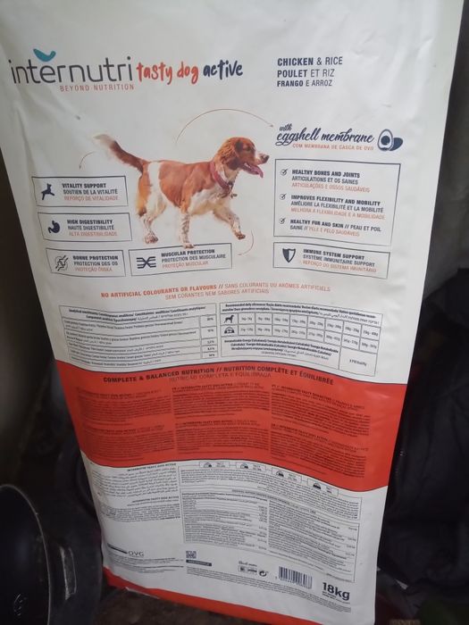 Ração internutri testy dog active