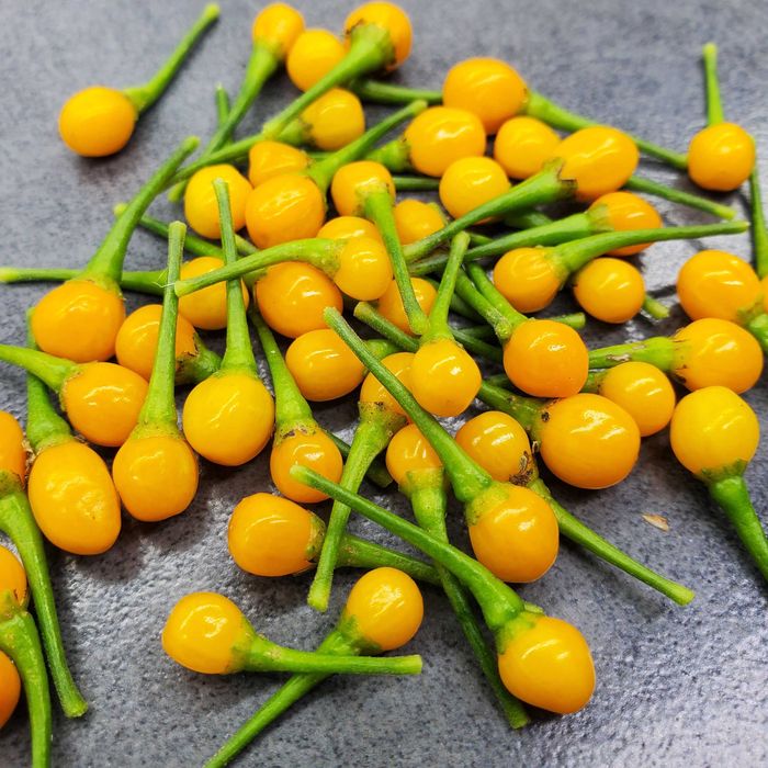 Насіння гострого перцю (Carolina Reaper, Habanero, Jalapeno та інші)