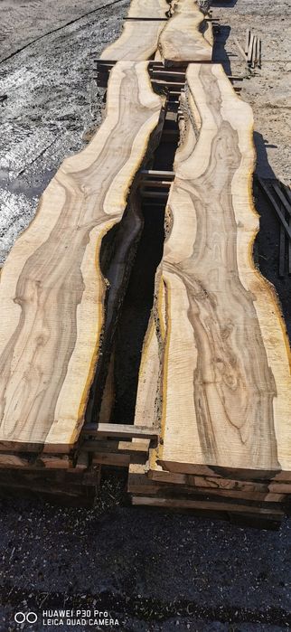 Orzech włoski, tarcica deski orzech