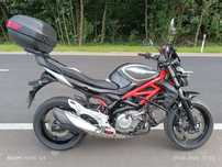 Suzuki Gladius Suzuki gladius sfv 650