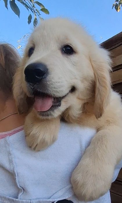 Народжені, щоб любити!