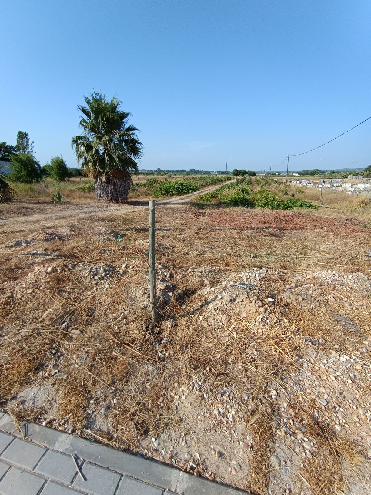 Terreno Urbano com área de cultivo